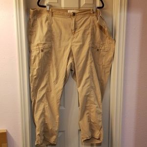 Sonoma Goods for Life Capris 24W